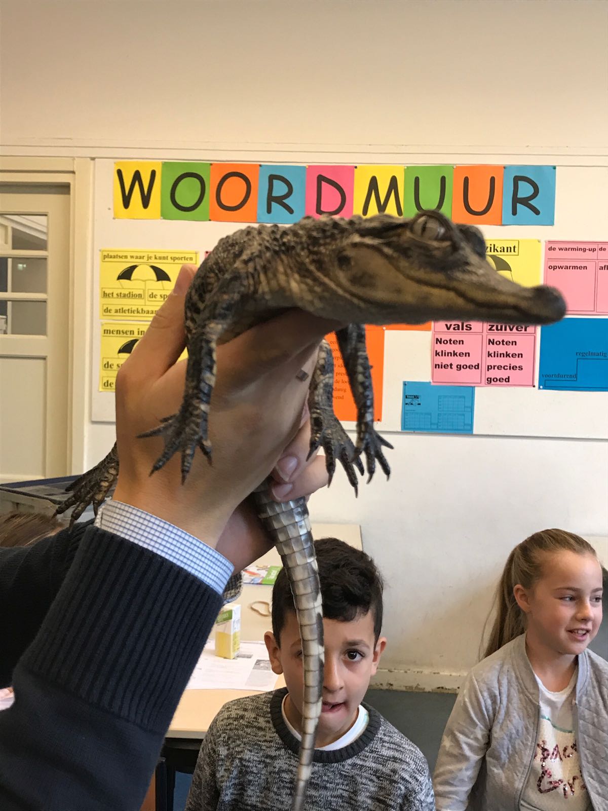 Da Vinci onderzoekend leren